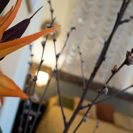 Couette-café Ca' Della Corte Venise