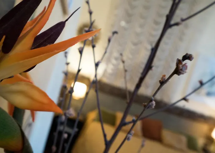 Bed & Breakfast Ca' Della Corte Venice